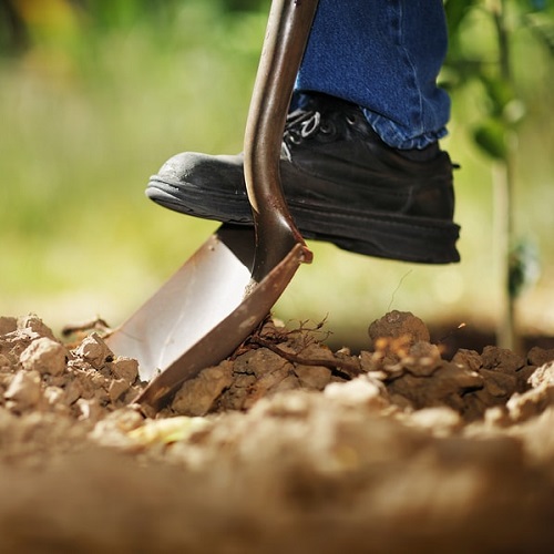 bigstock-Digging-spring-soil_.jpg