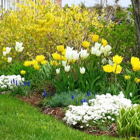 bigstock_Spring_Garden__106344-min.jpg