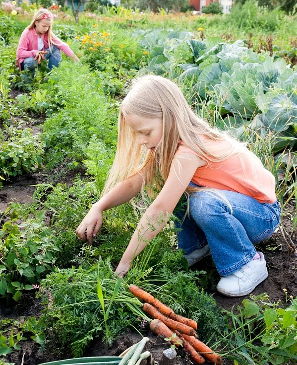 A great fall harvest begins in summer!