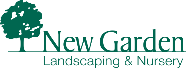 NGLN_Logo_plain.png