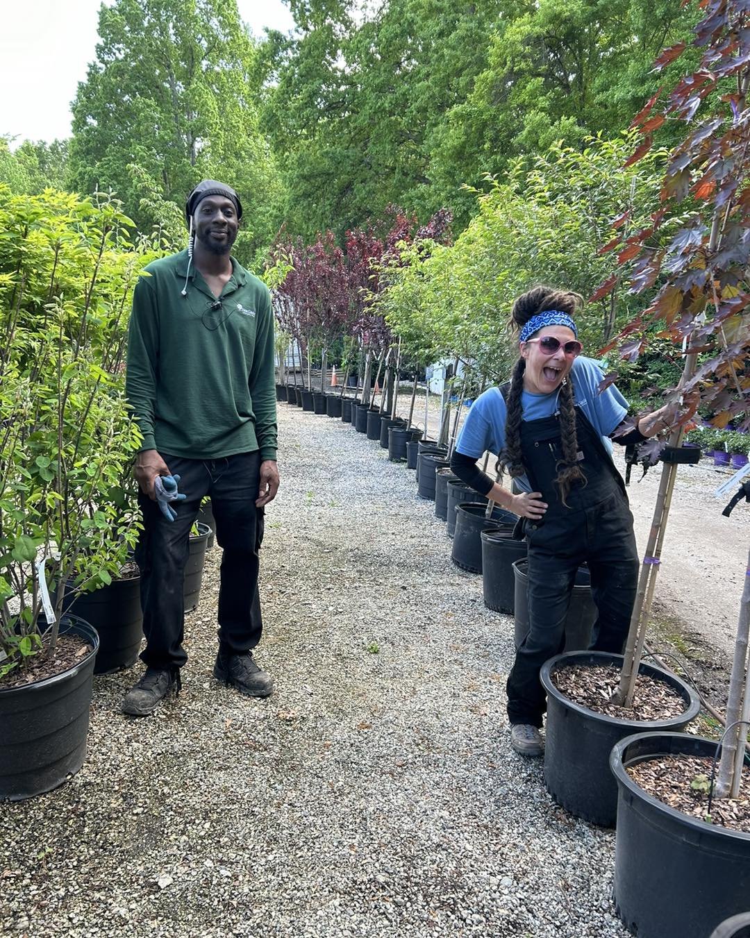 🌳Shout out to our crew who has worked hard getting our Iseli materials set up so nicely! If you are looking for unique evergreens and Japanese Maples, stop by and take a stroll through the nursery.