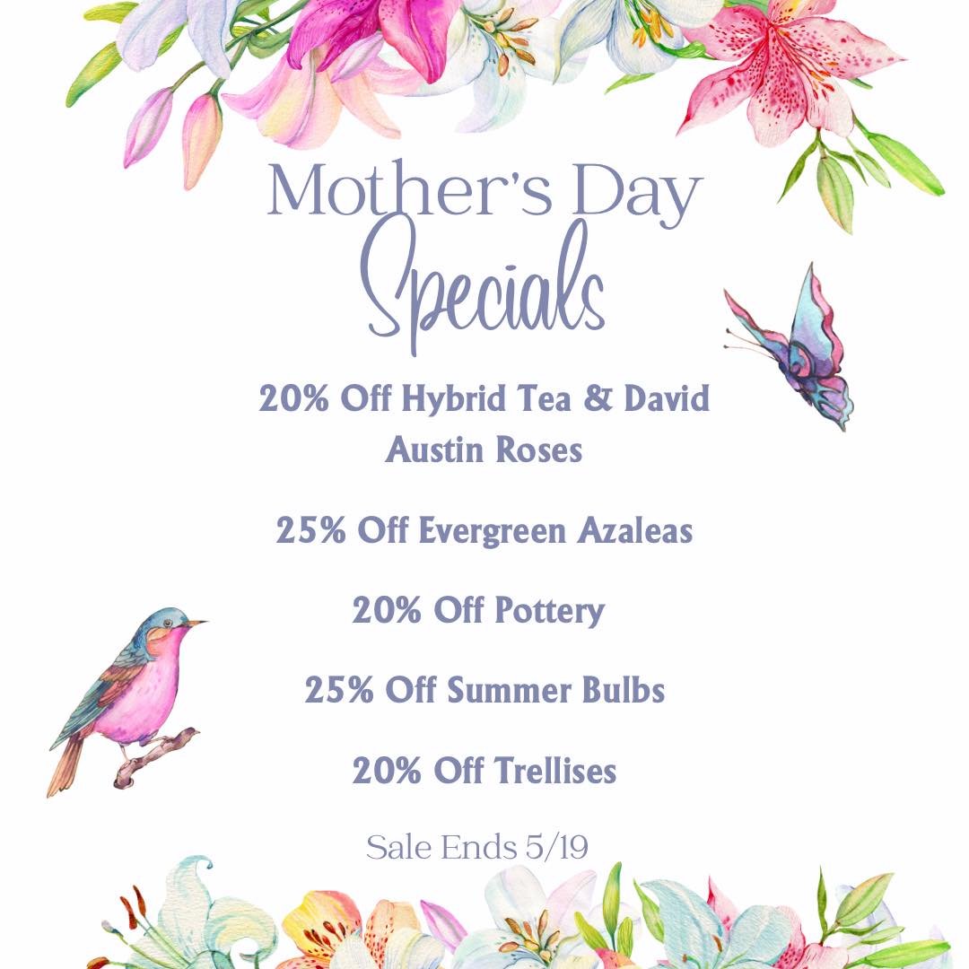 💐Friendly reminder: This Sunday is Mother&rsquo;s Day! 

💕Don&rsquo;t forget to get your mom something nice. Here are the deals we will have at the Gazebo now through May 19!