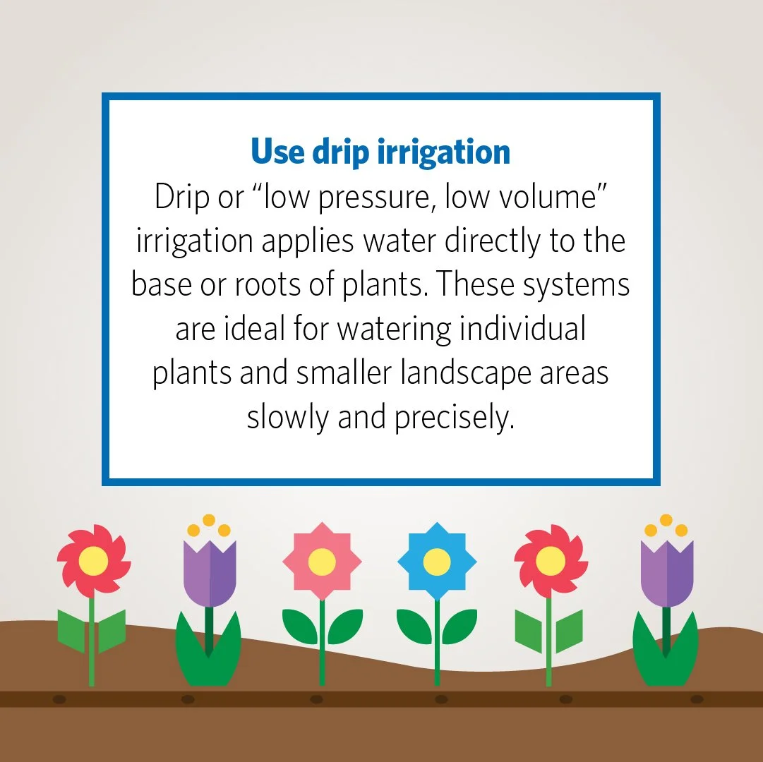 💧 Irrigation Tip Tuesday: Go with Drip Irrigation! 💧

Drip (or &ldquo;low pressure, low volume&rdquo;) systems deliver water right to the base of each plant&mdash;no more wasted spray or soggy leaves. They&rsquo;re perfect for:

Flower beds &amp; c