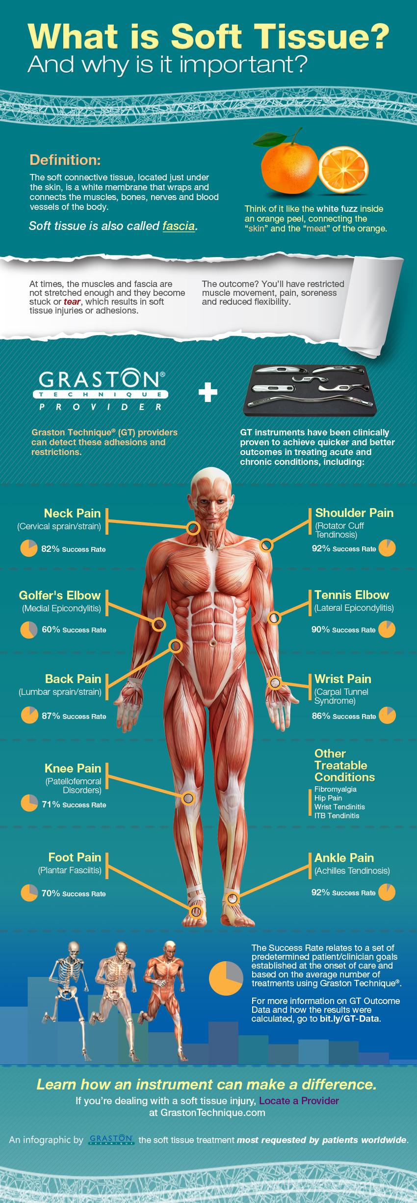 What is Soft Tissue?  Iron Physical Therapy NJ — Iron Physical
