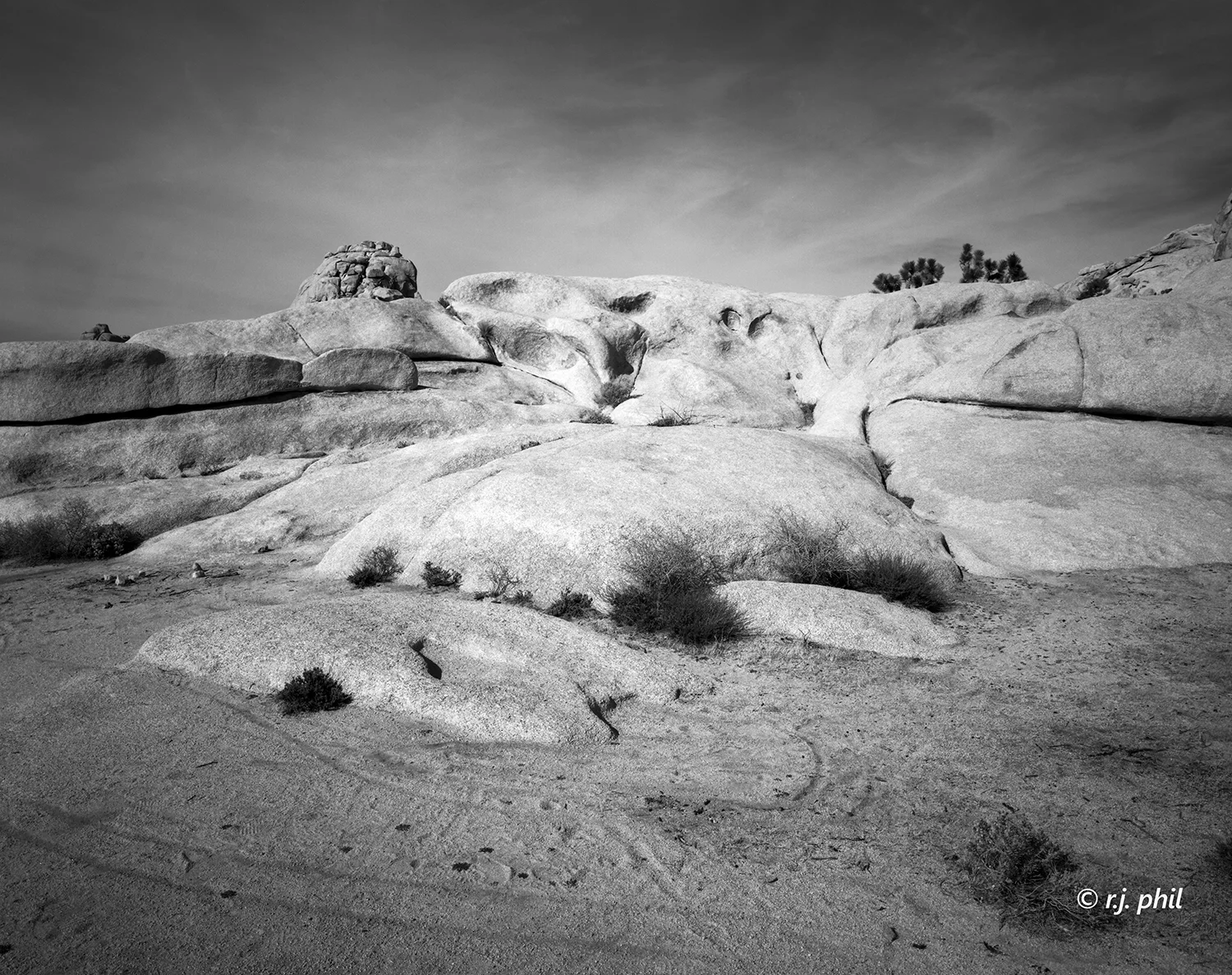 Joshua Tree Rocks