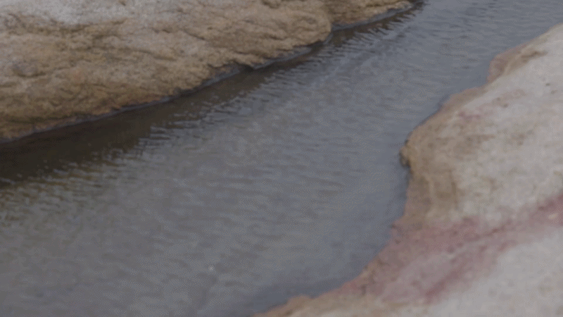 tracing water home .gif