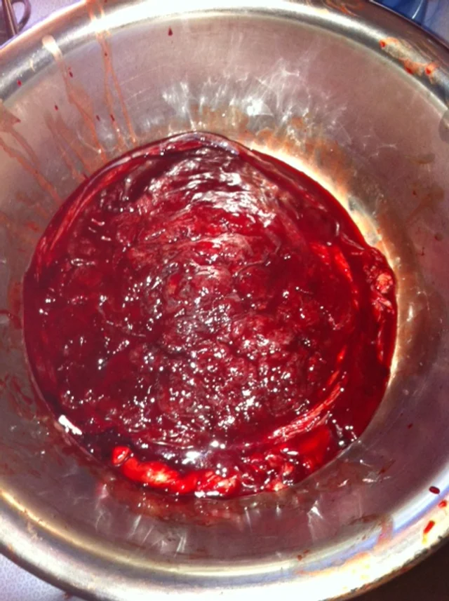 Chocolate Truffles, Fruit Smoothies, and Placenta Encapsulation