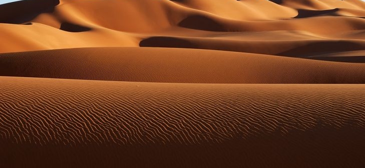 shutterstock-586549253.jpg
