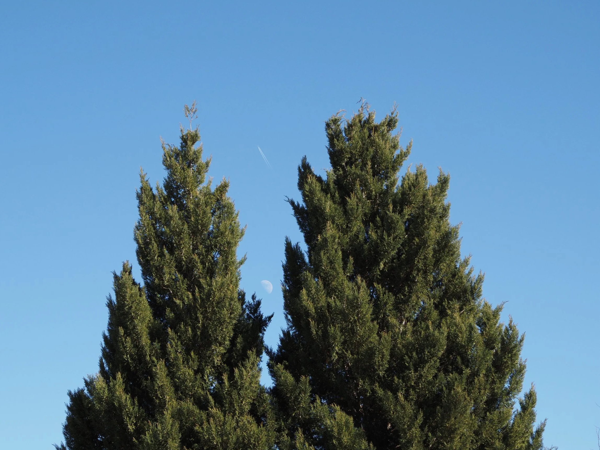P1100021.png