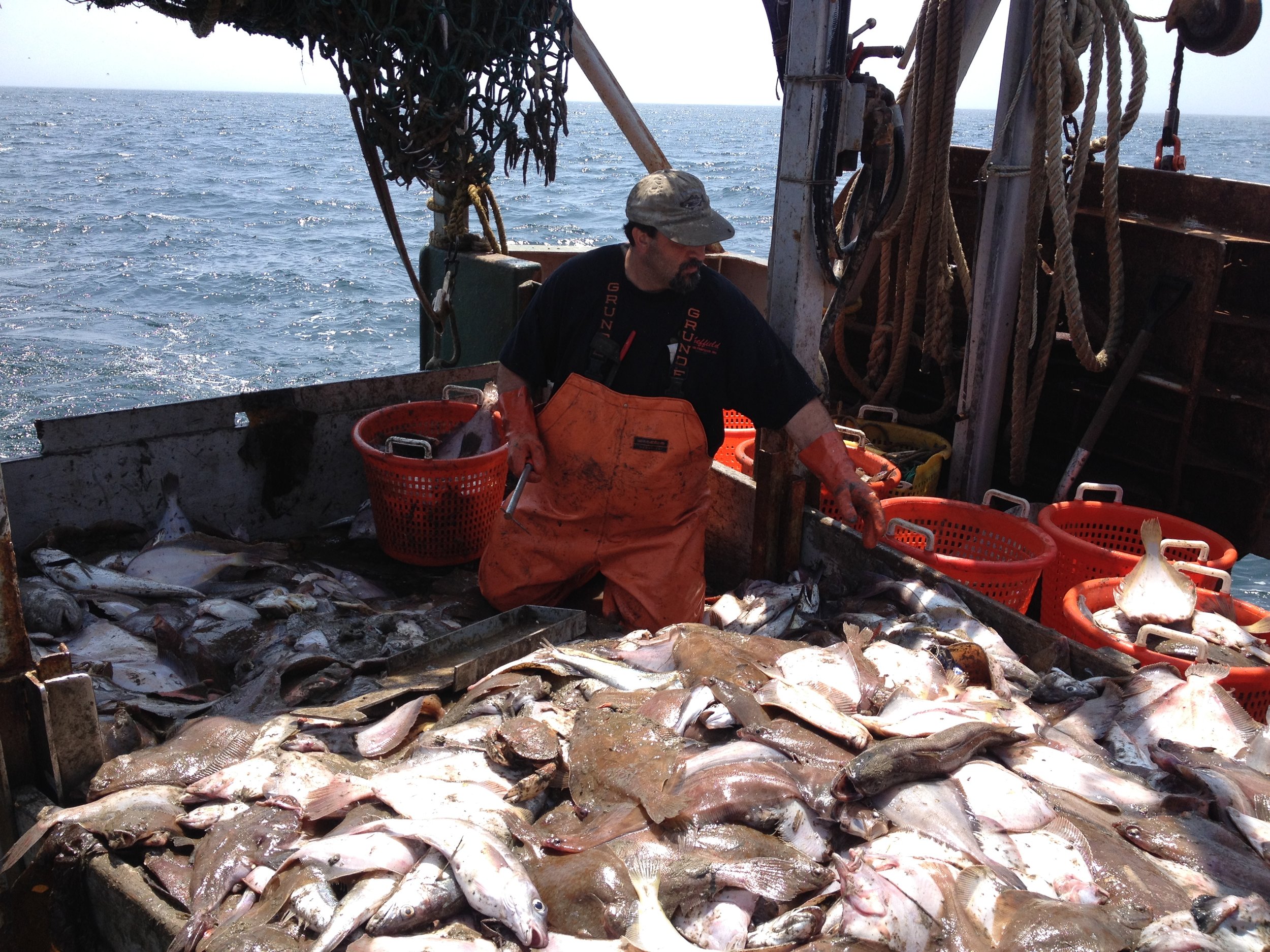 Fresh fish. From my day at sea working on a documentary about the death of the day boat fishermen.