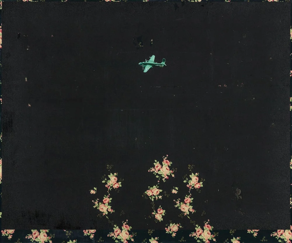 Night Flight | 游黑 , 2015, 60.5 x 72.5 cm 