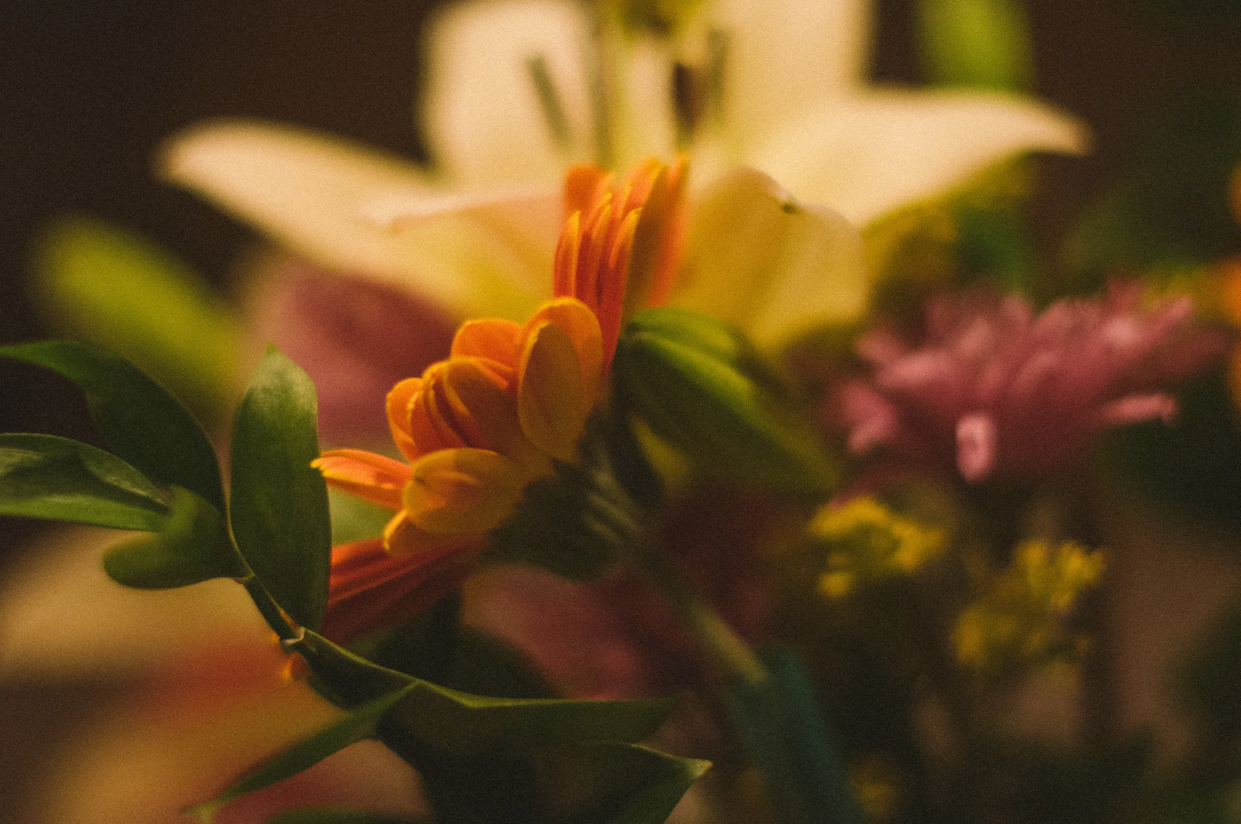 Fresh flowers in the house make me oh so happy