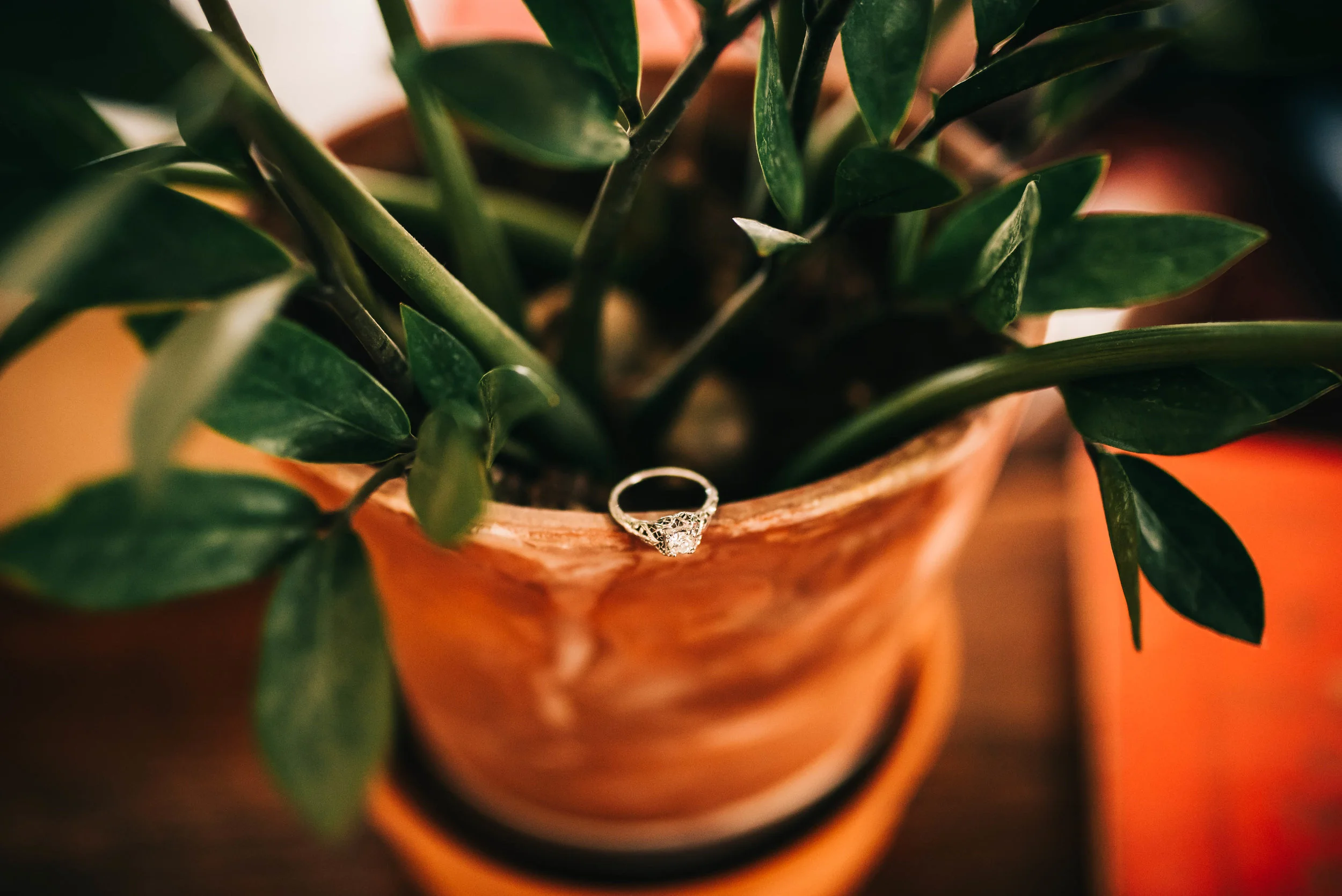 Danny + Alyssa-46.jpg