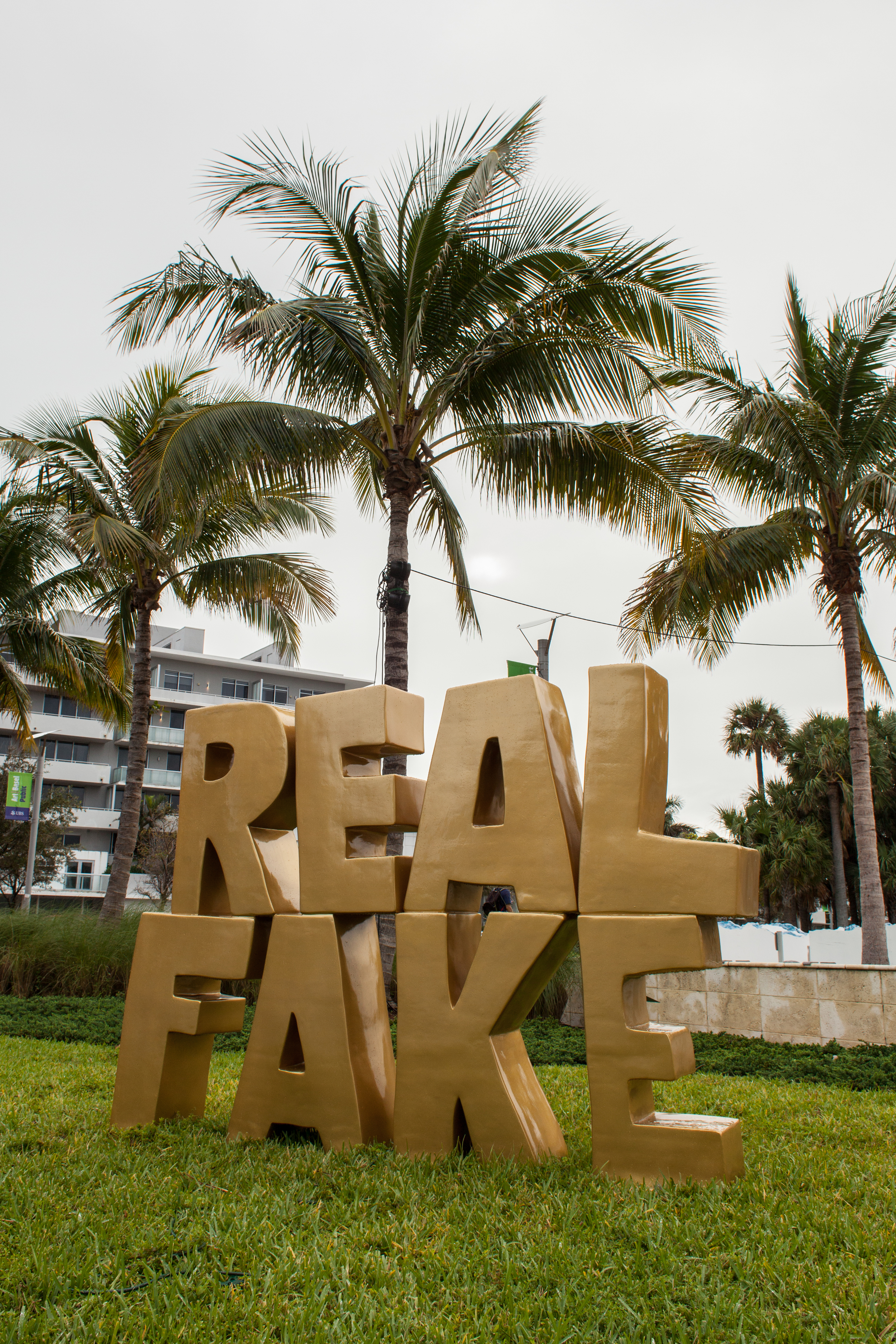 Real-Fake-06-300.jpg