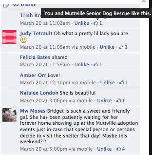 Screen Shot 2013-03-29 at 6.05.59 PM.png