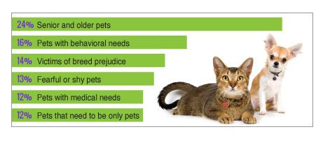 Source: Petfinder.com