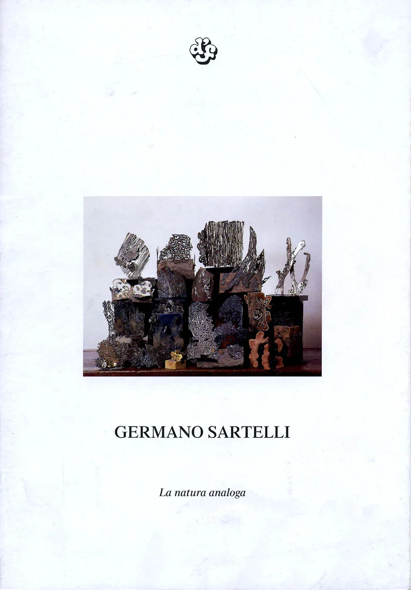 sartelli natura analoga.jpg