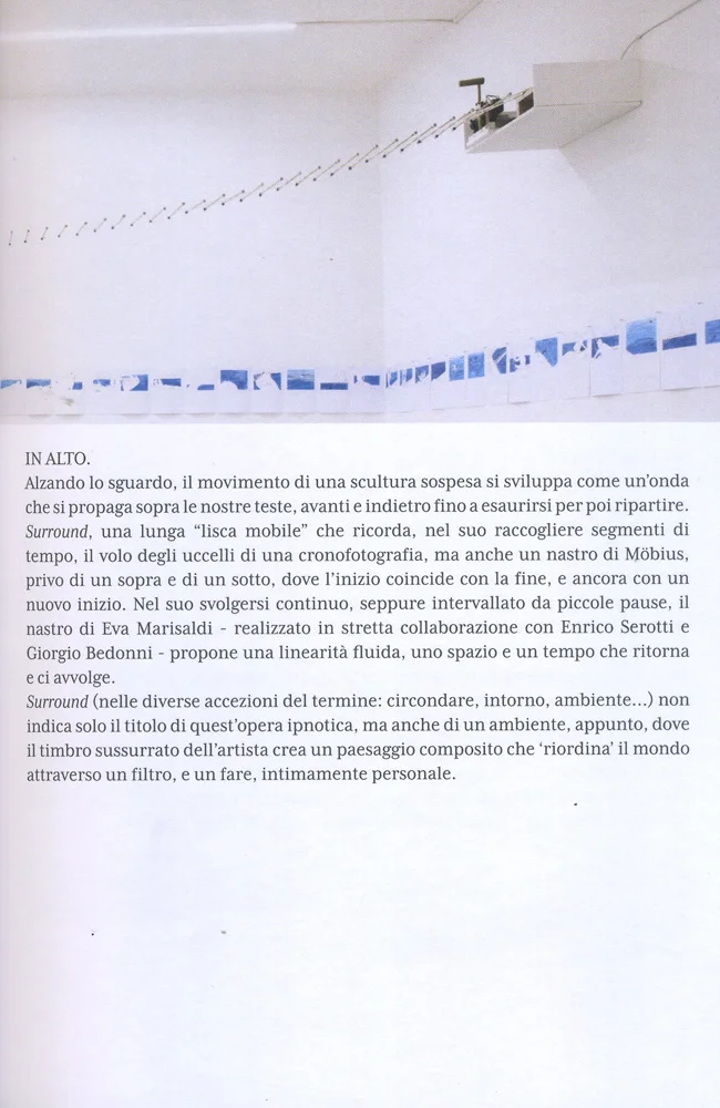 eva marisaldi galleria de foscherari 3.jpeg
