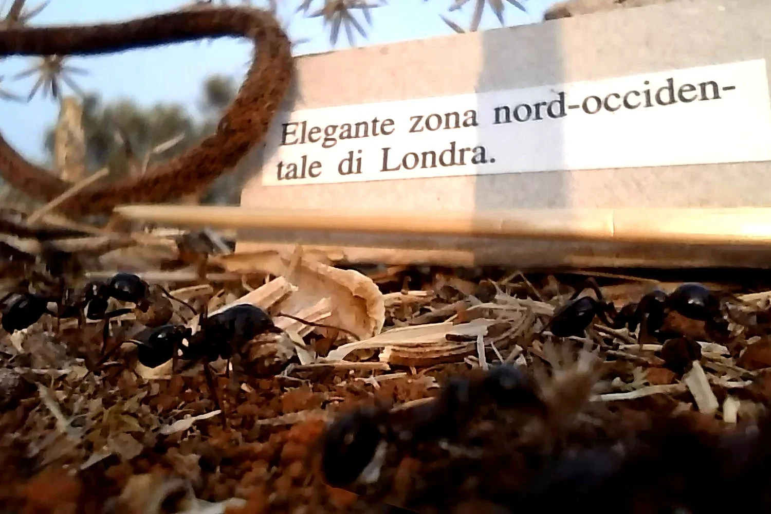 social still frame (2).jpg