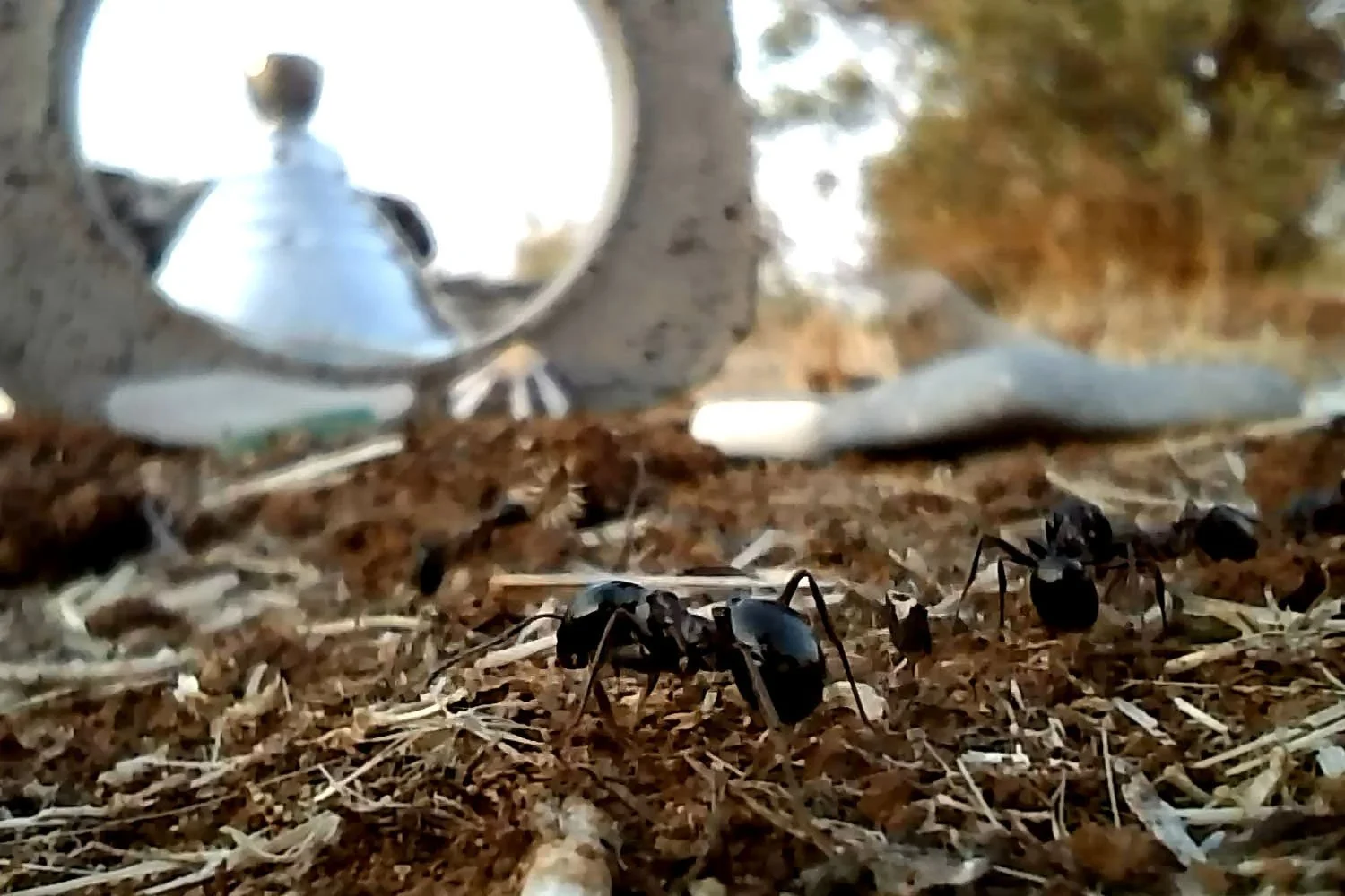 social still frame (3).jpg