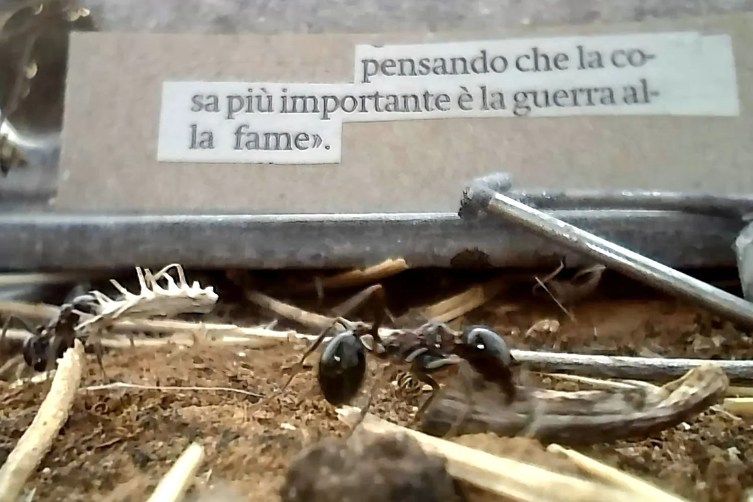 social still frame (4).jpg