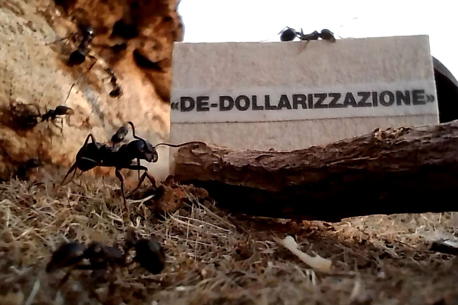 social still frame (5).jpg