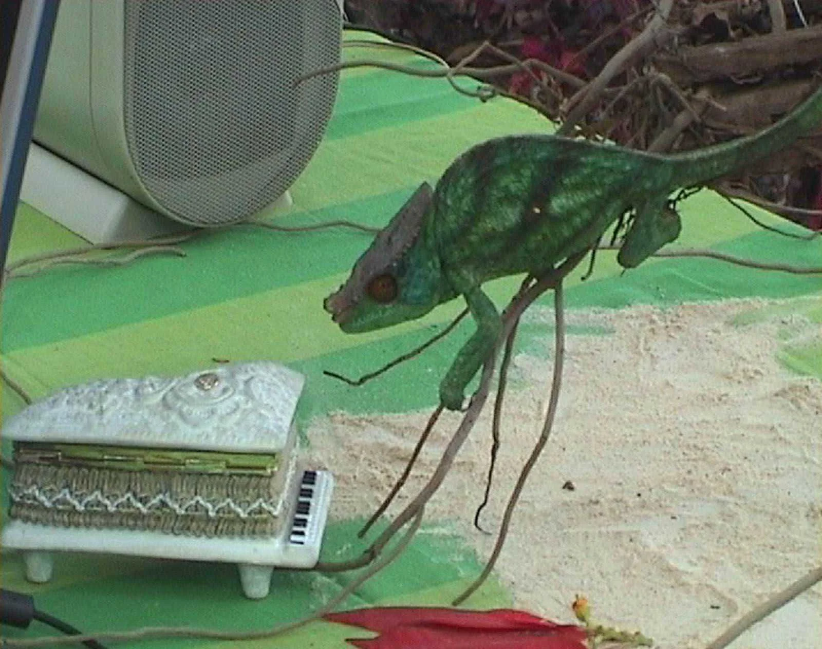 Per vari motivi. Proiezione video | Sabato 21 febbraio 2026, alle ore 17.30 | Museo internazionale e biblioteca della musica