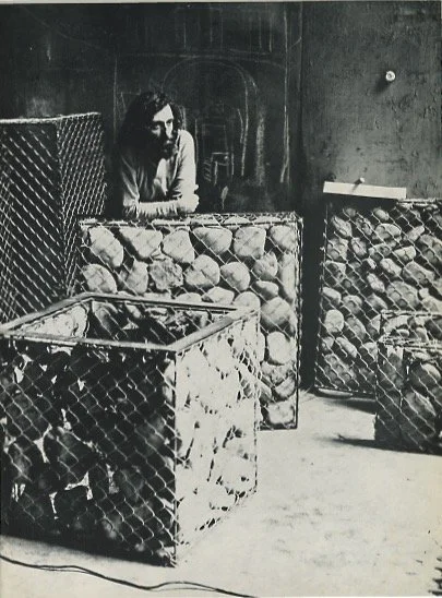 D'Agostino 1971.jpeg