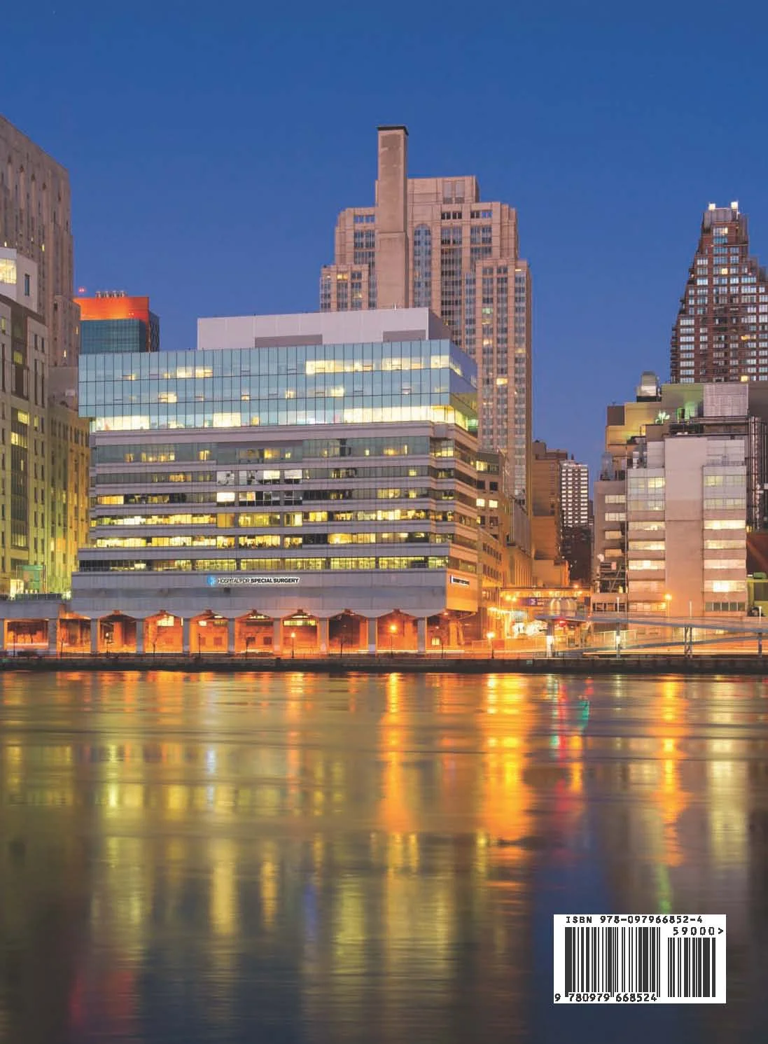 Anatomy of a Hospital_back cover.jpg