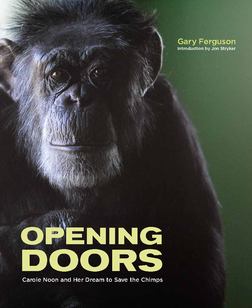 Opening Doors_front cover.png