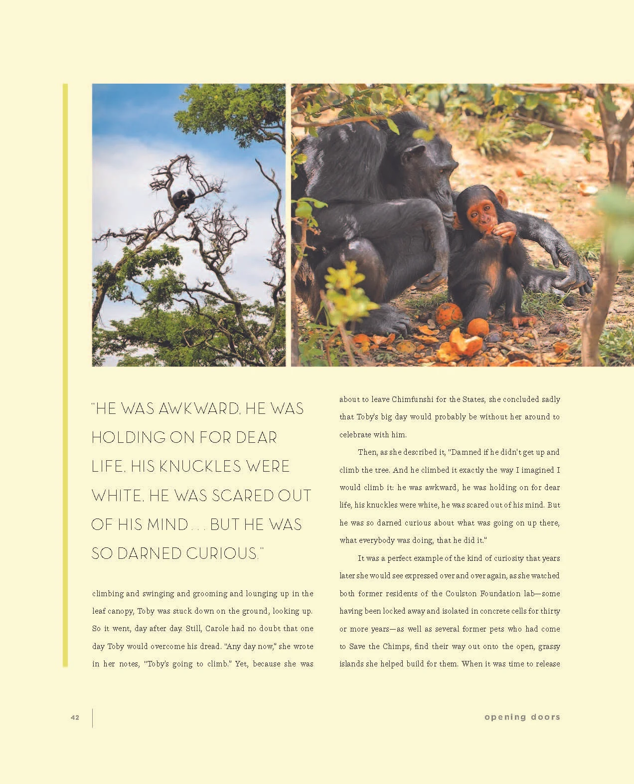 Opening Doors Interior sample_Page_06.jpg