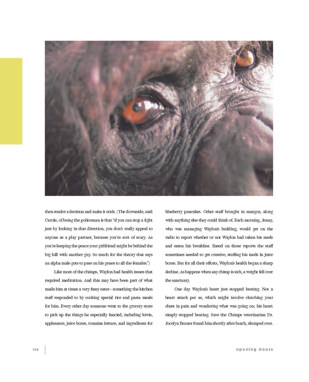 Opening Doors Interior sample_Page_14.jpg