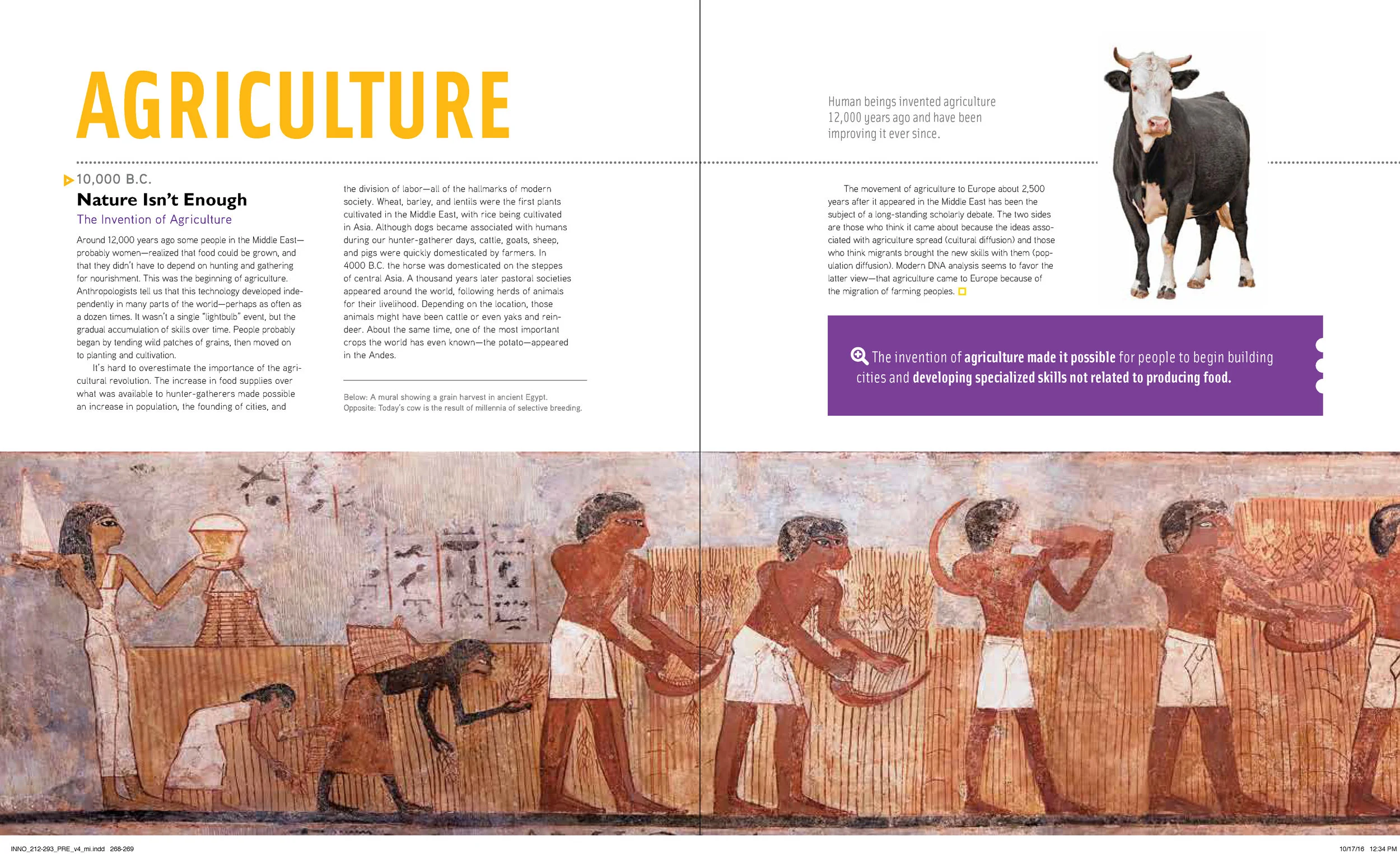 Innovation Story of_Page_13.jpg