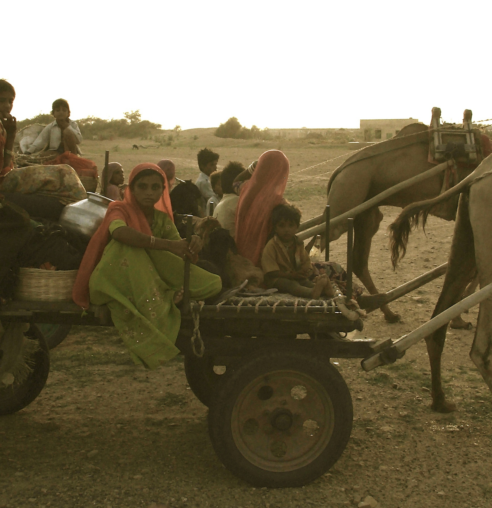  Travellers at dusk © Edith Nicol 