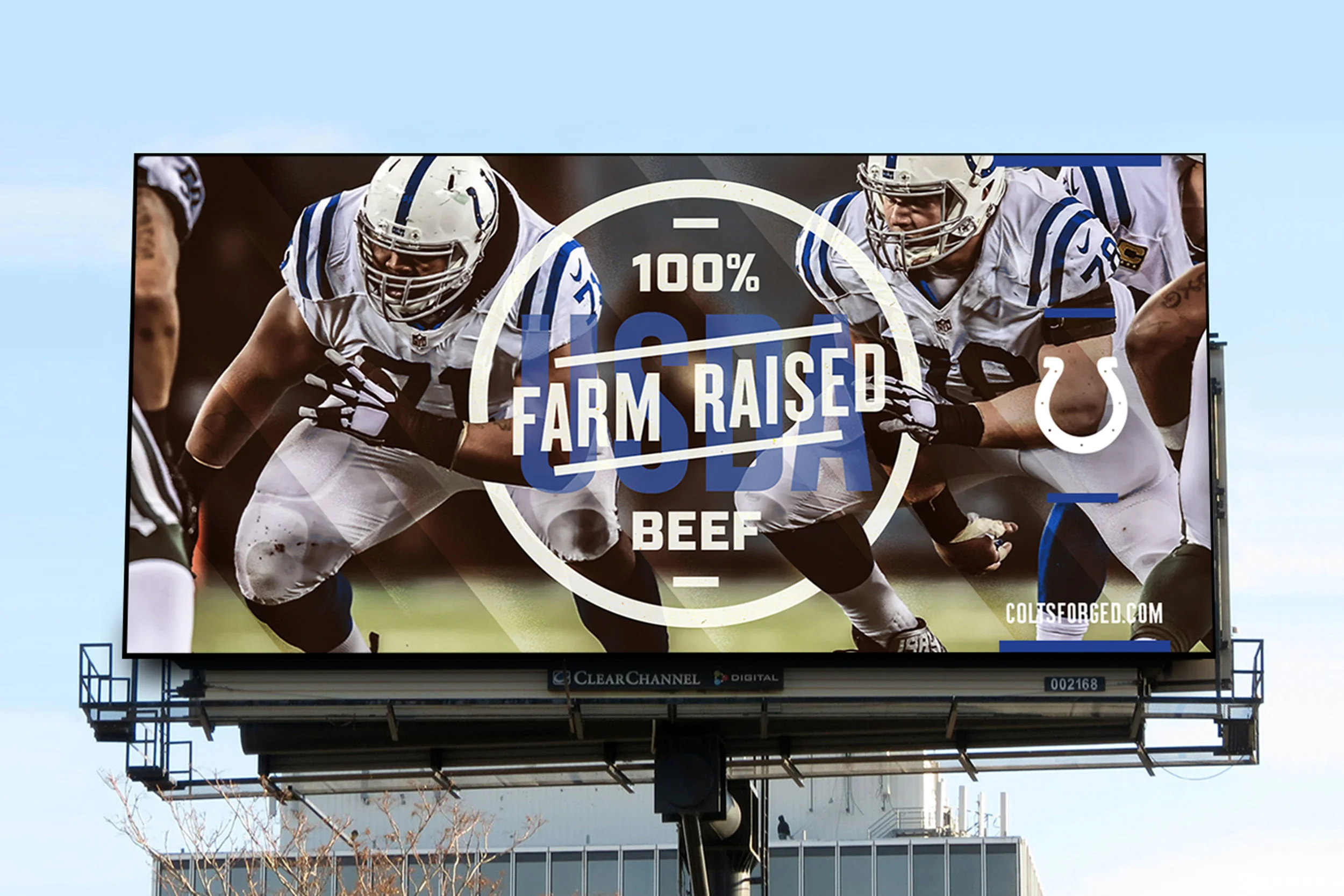 Colts_9.jpg
