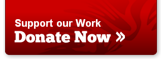 donate-now-HQ.png