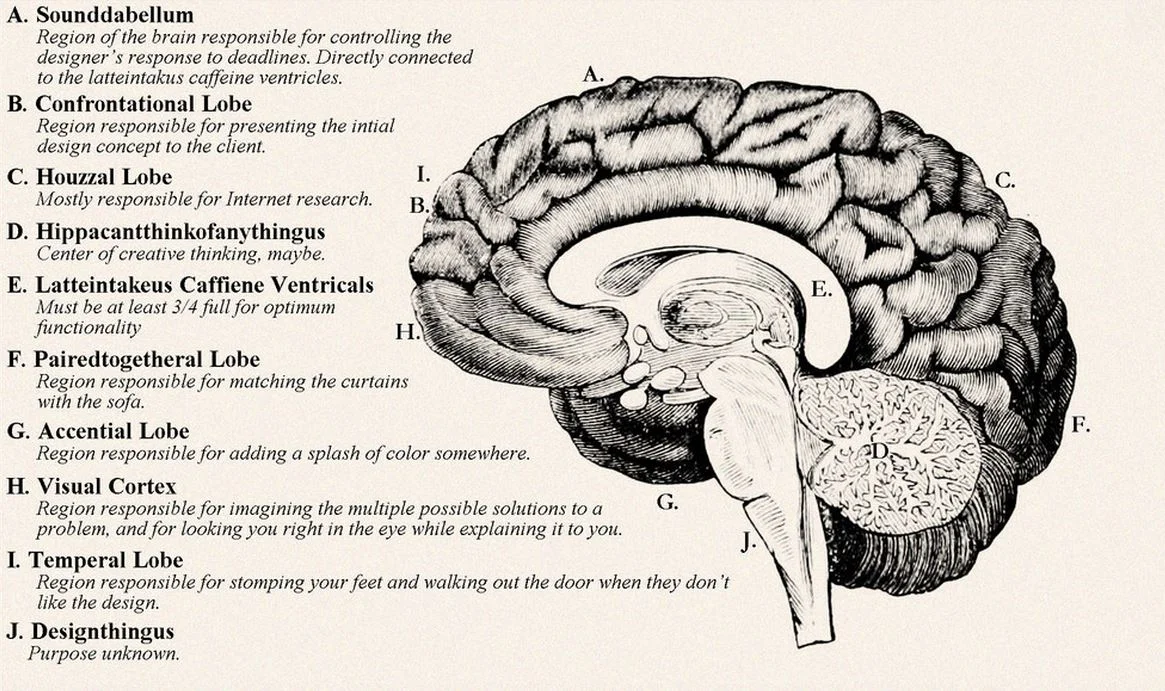 The brain of a designer.