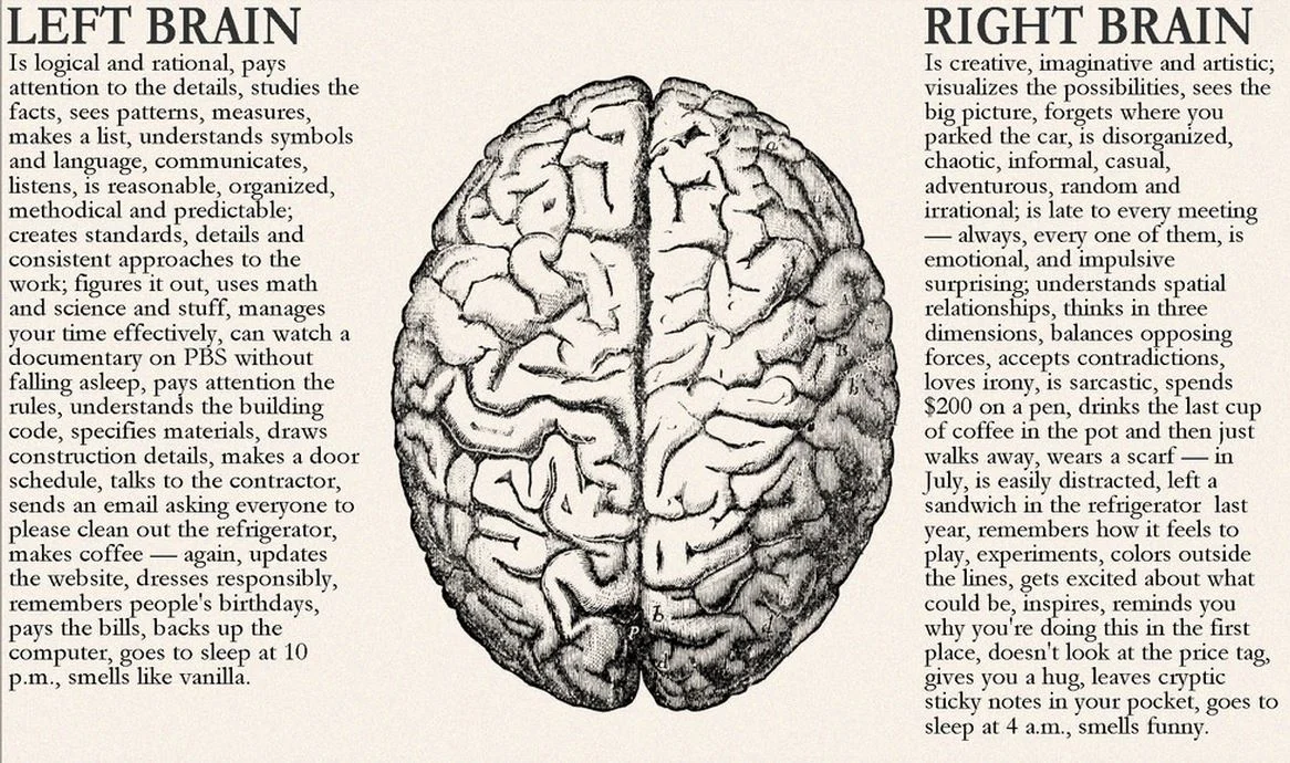 Left brain vs Right brain of a designer.