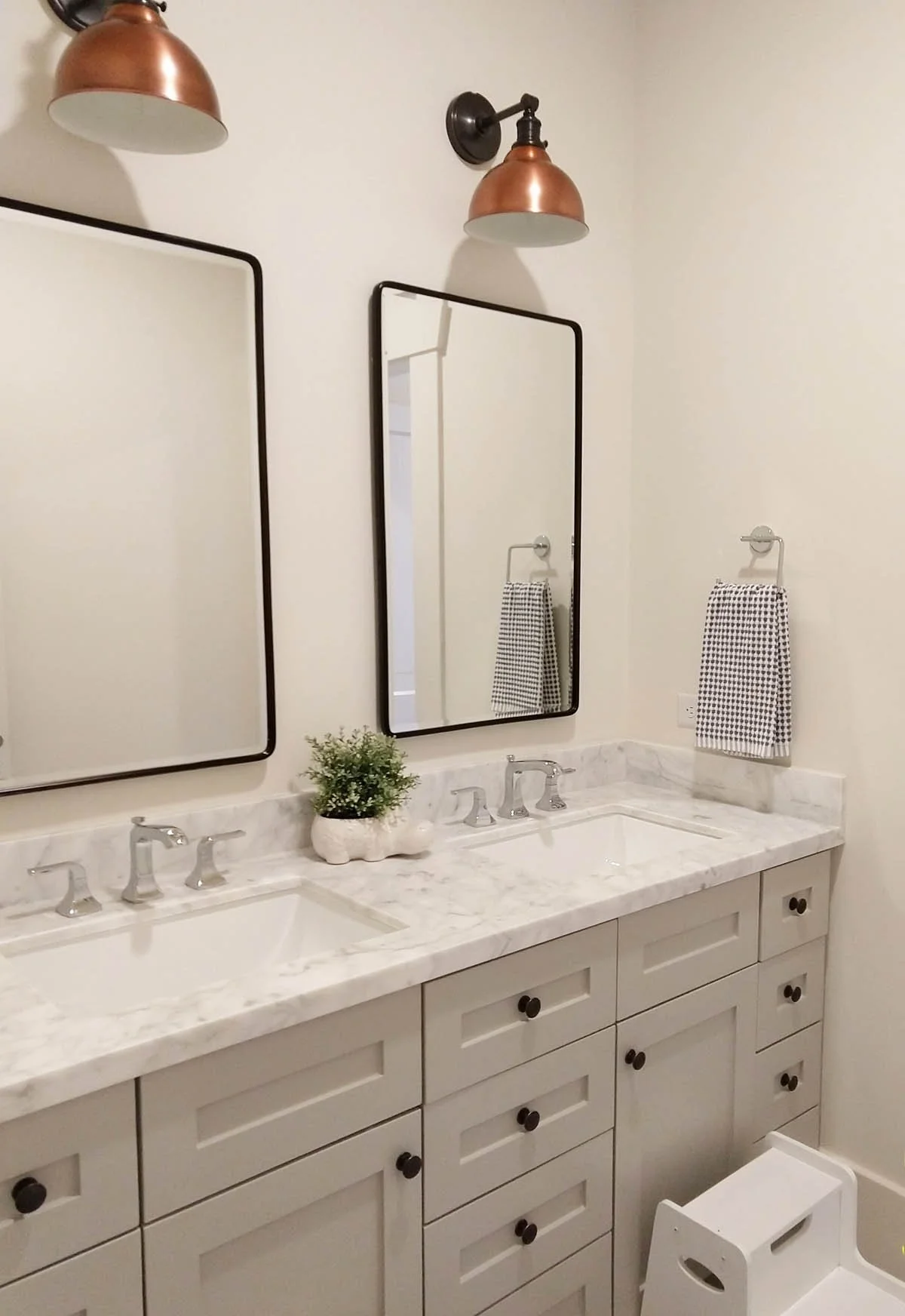 Shared brothers bathroom in Denver historic home remodel with double vanities and medicine cabinets.