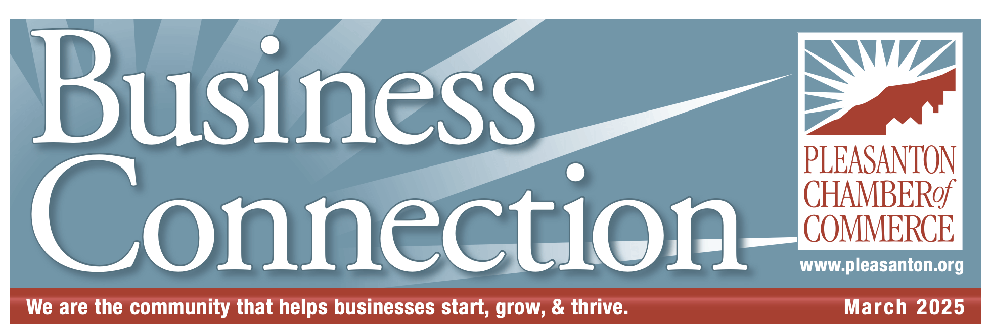 Pleasanton Photographer Business Connection Article