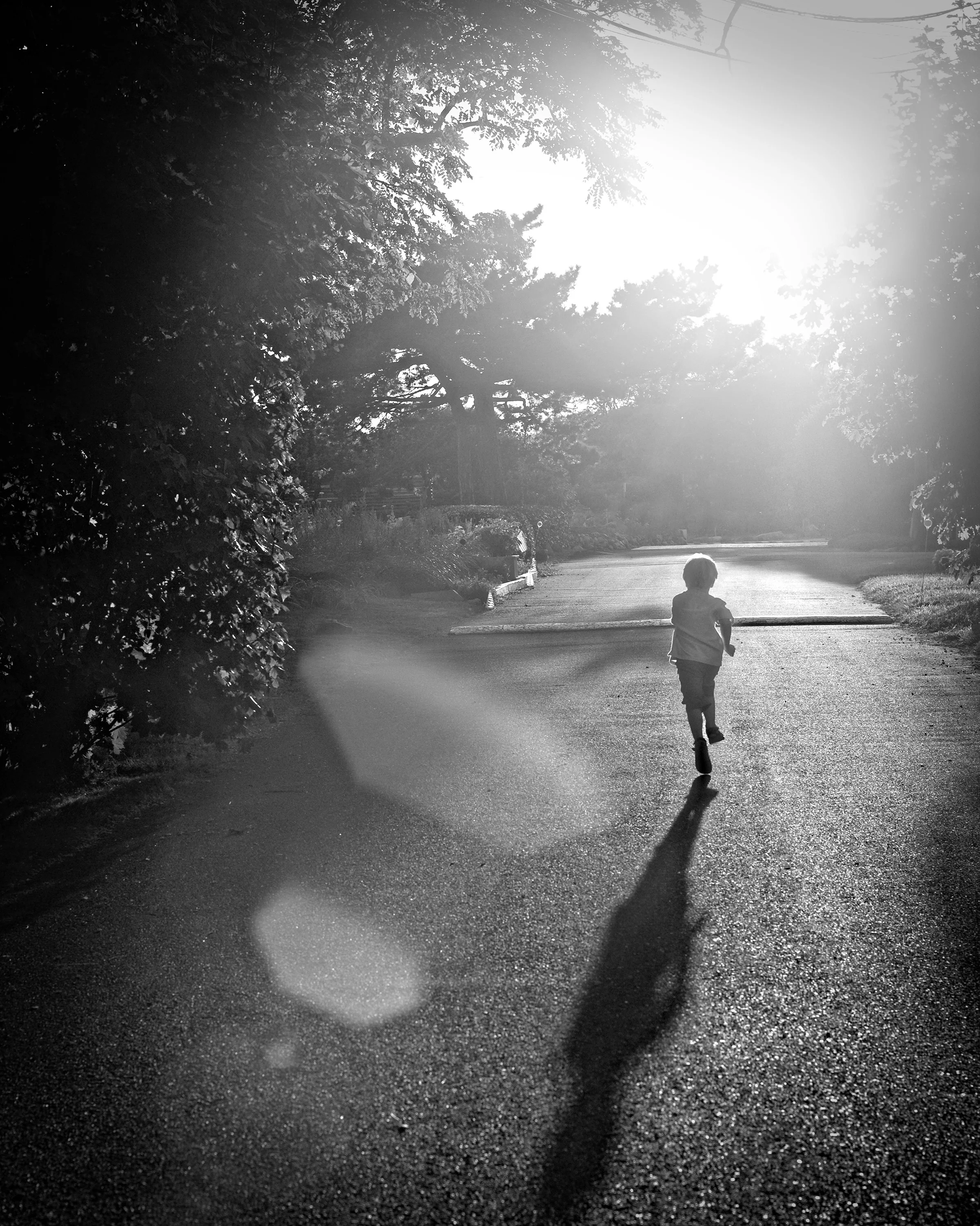 Danville Family Photographer Nina Pomeroy Mini Session specials for Fall and Holidays artistic and creative