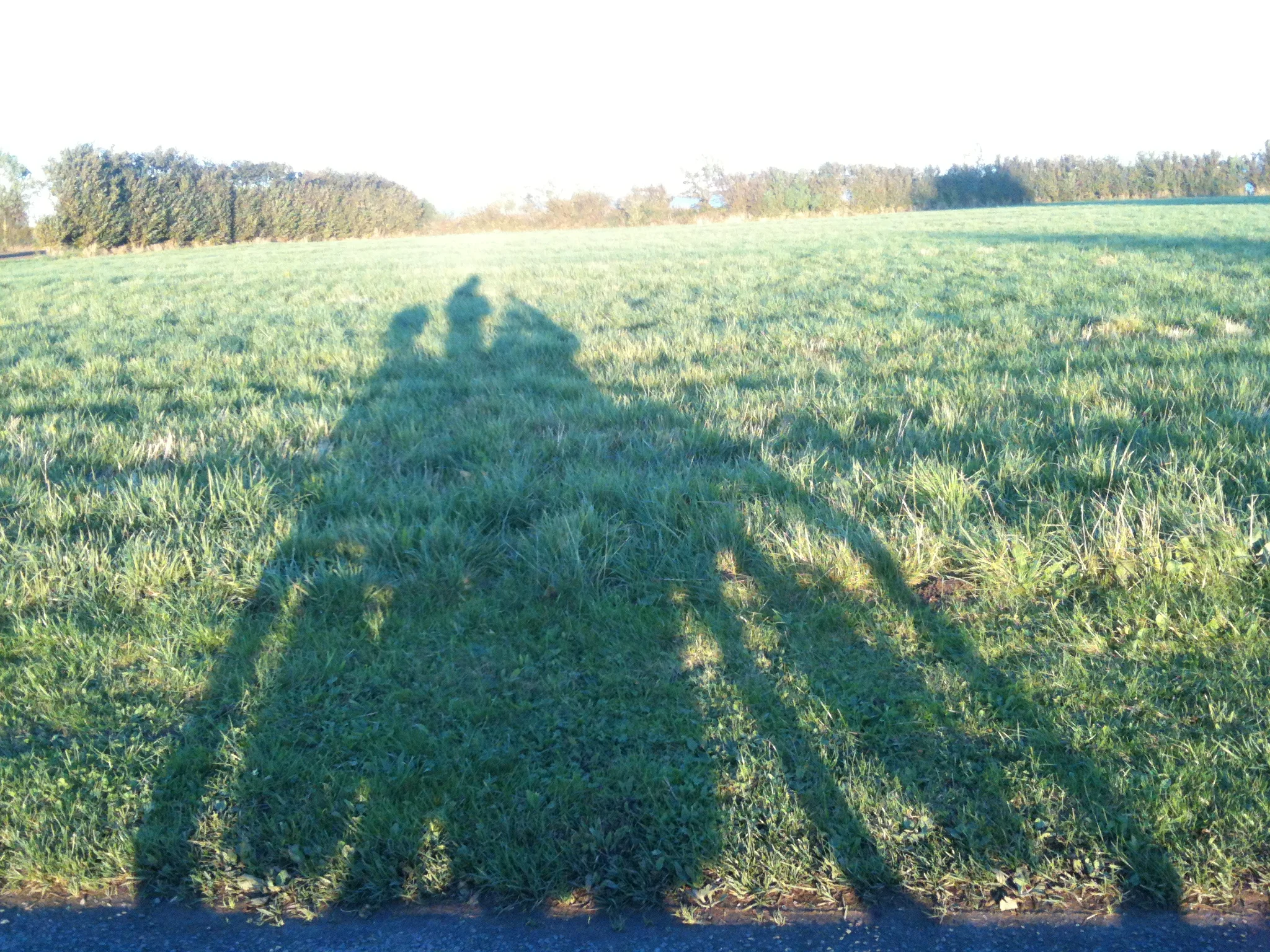 Inspiration til sang i solnedgang