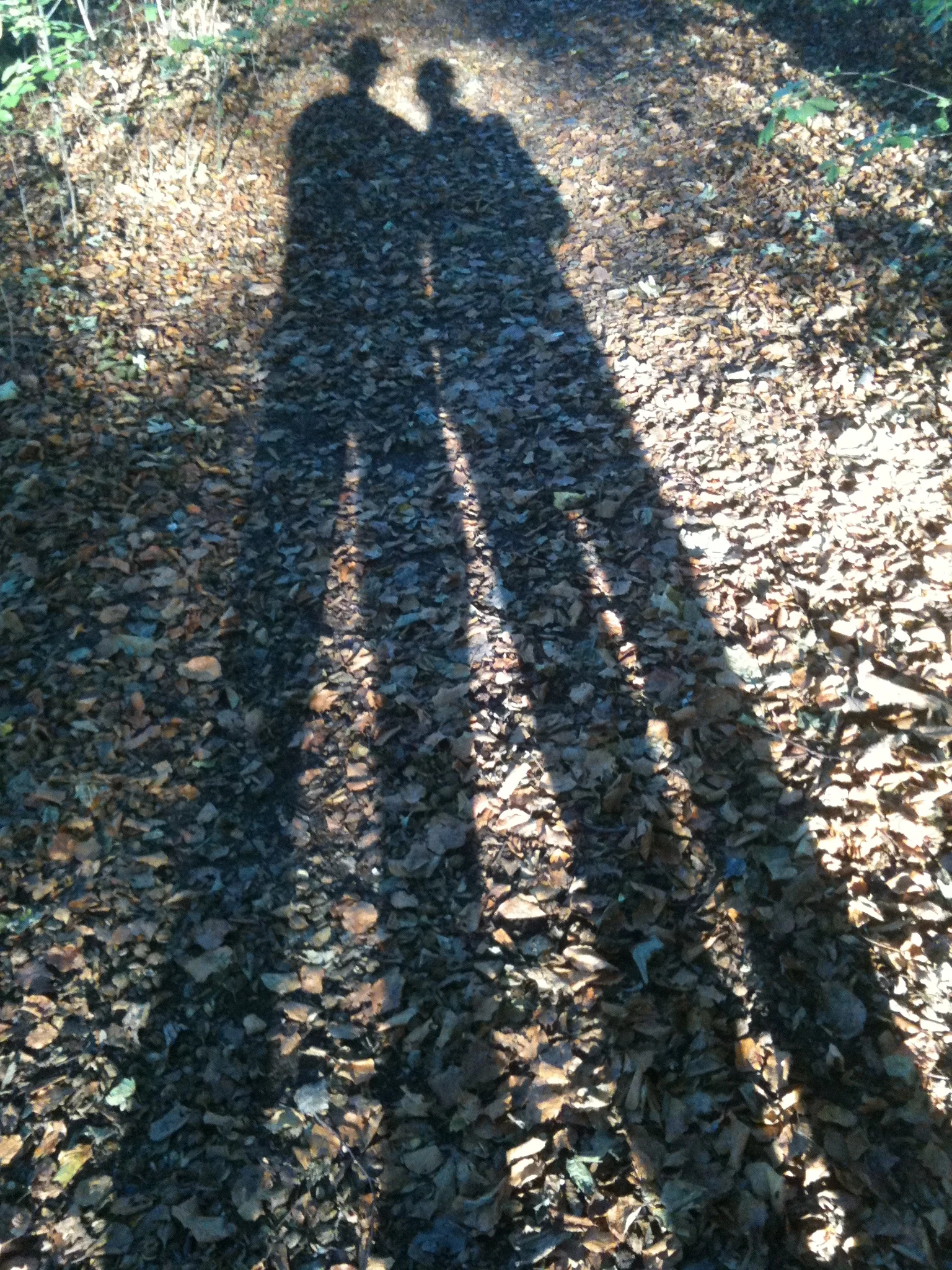 Ægtepar i solnedgang