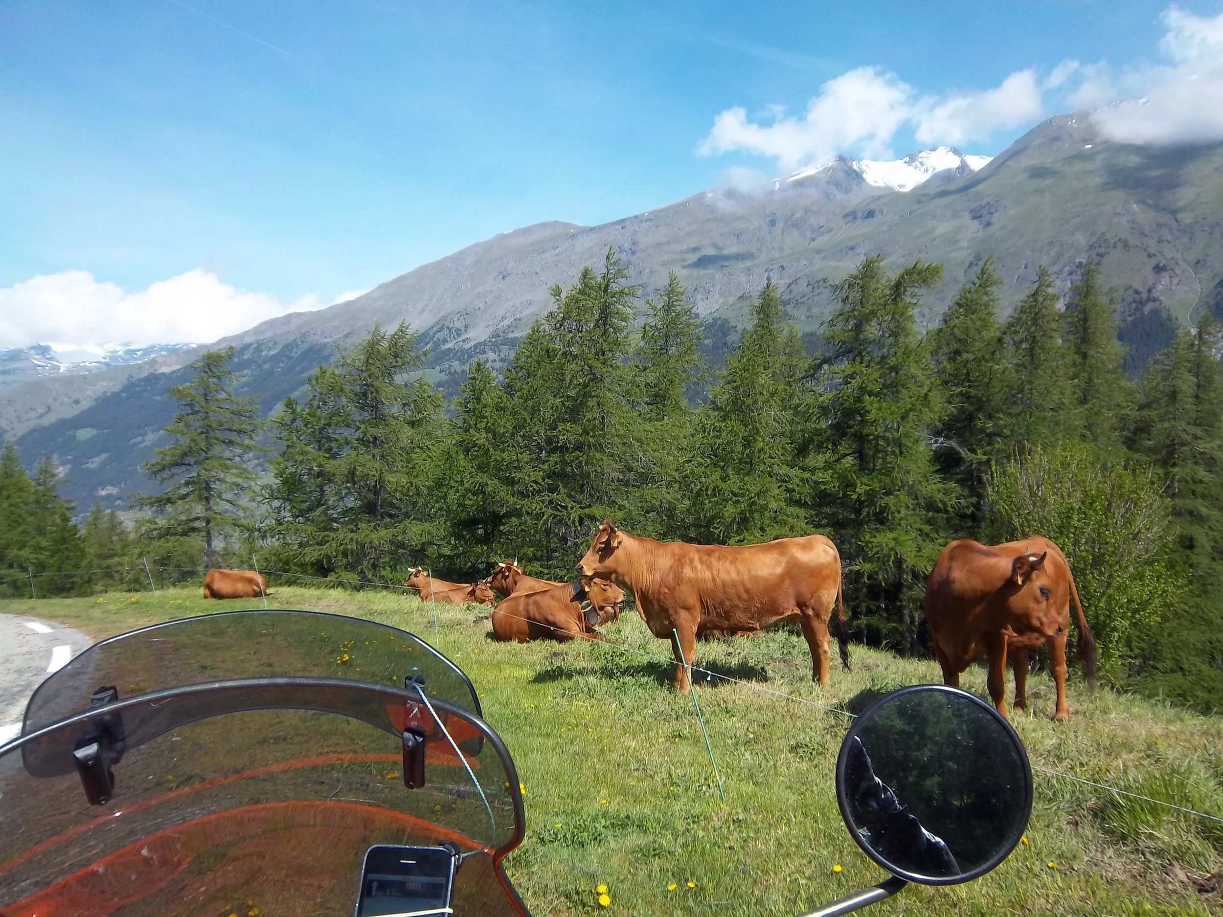 What a wonderfull world! French Alps 2011