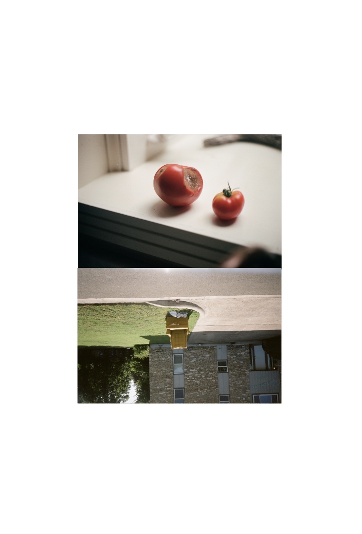 overripetomato.PNG