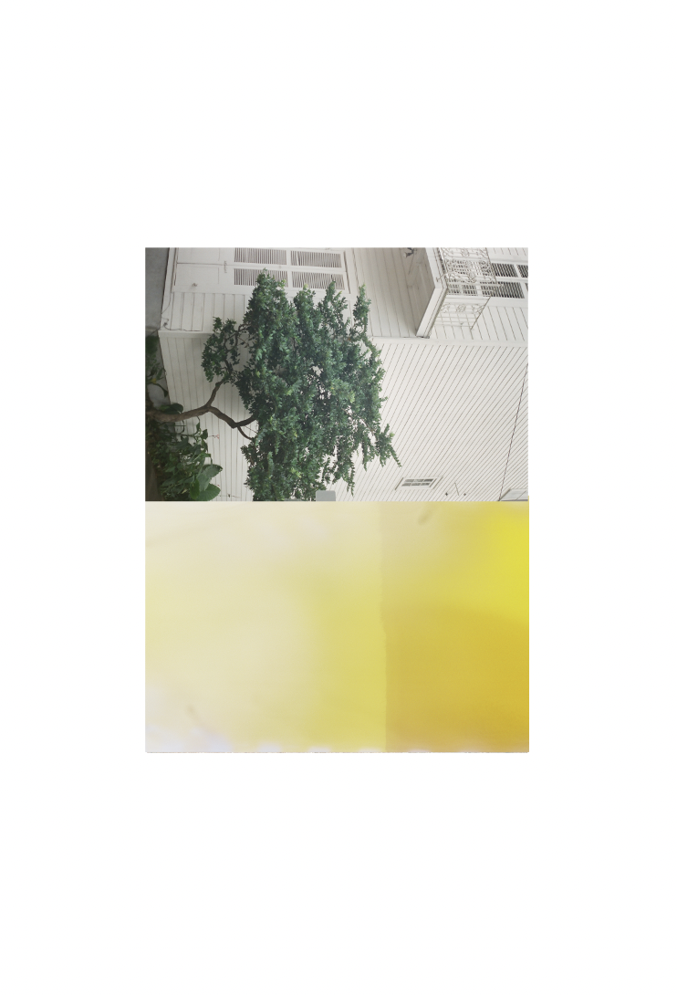 tree.PNG