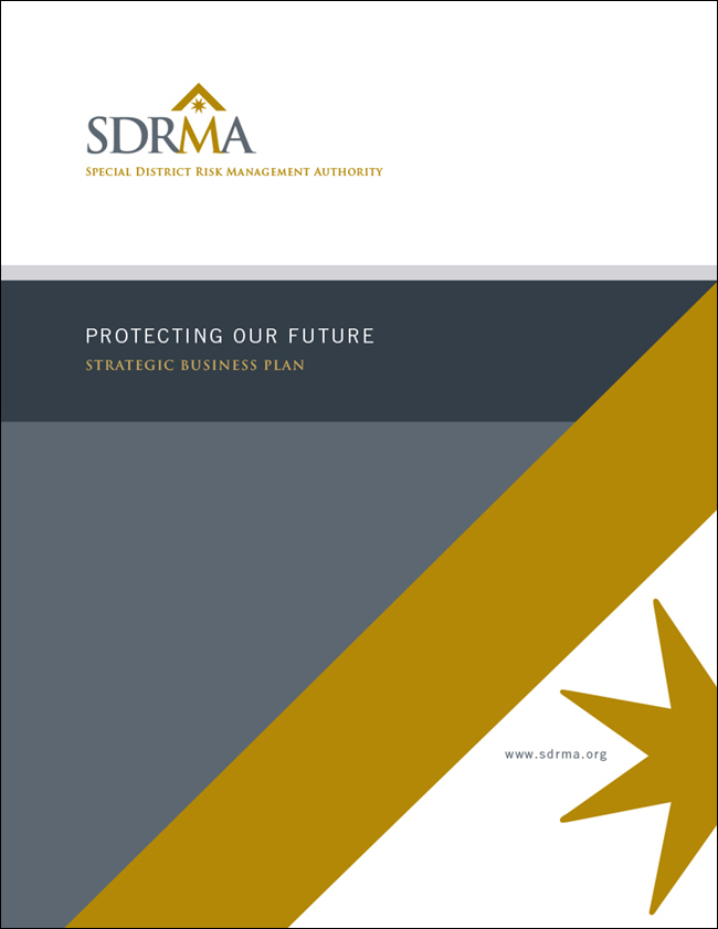 SDRMA_BusinessPlan.jpg