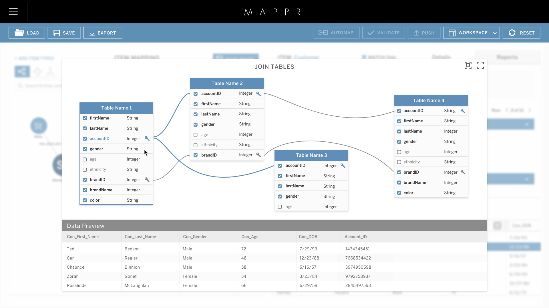 06 - MappR-AutoMap-Default View – 7.png