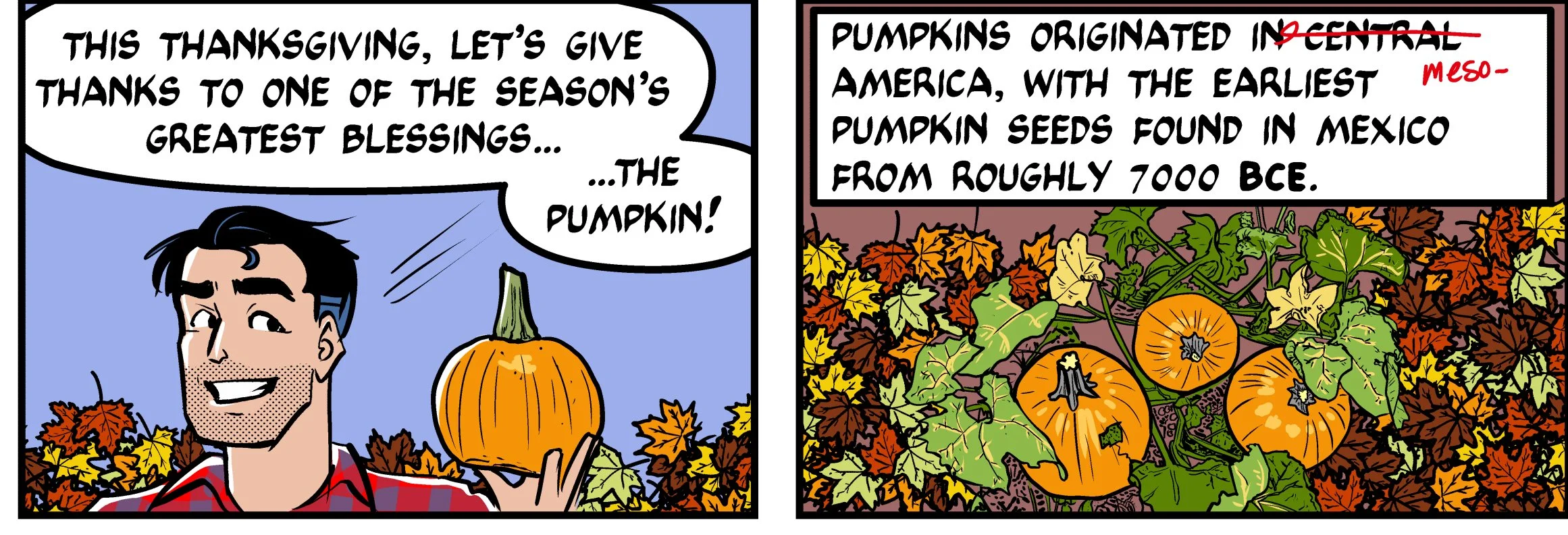 MT_Sunday_11232025_Pumpkin_Facts_crop.jpg