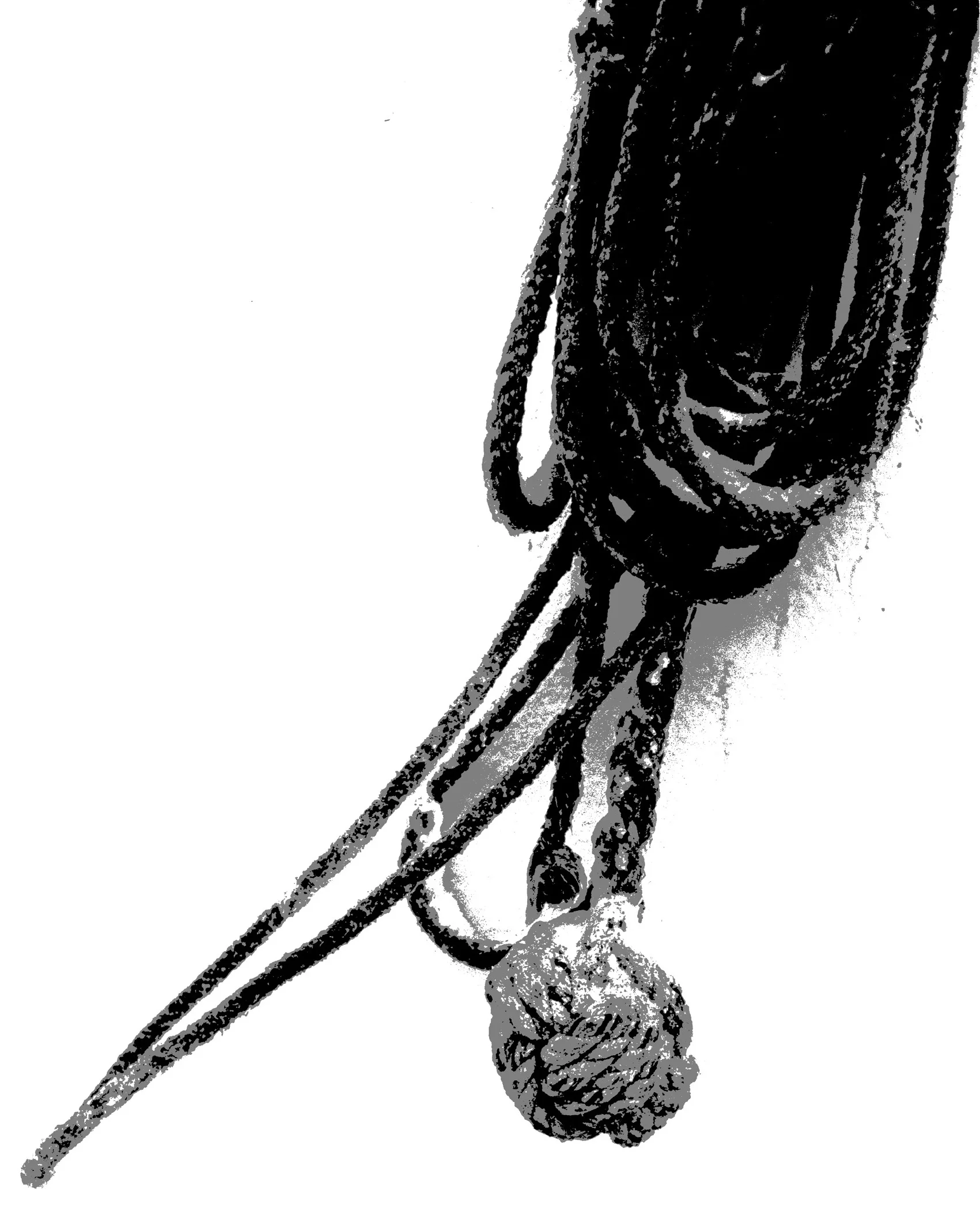 03030601-09V BW copy carpal monkeysfist.jpg